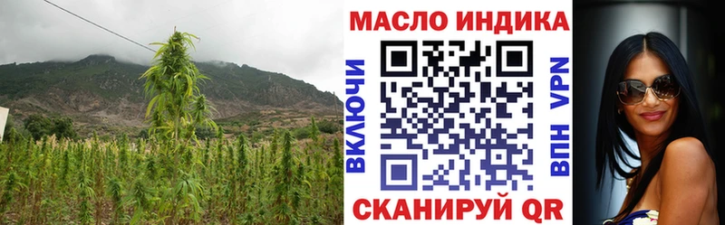 kraken ССЫЛКА  продажа наркотиков  Заволжск  Дистиллят ТГК THC oil 